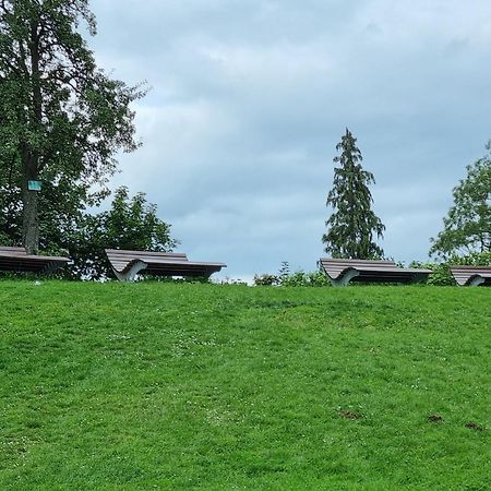 Fewo Zur Alten Tischlerei Herzberg am Harz Eksteriør bilde