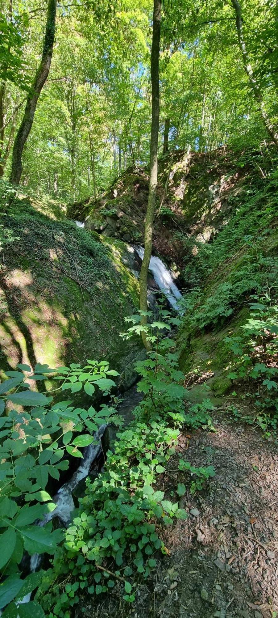 Fewo Zur Alten Tischlerei Herzberg am Harz Eksteriør bilde