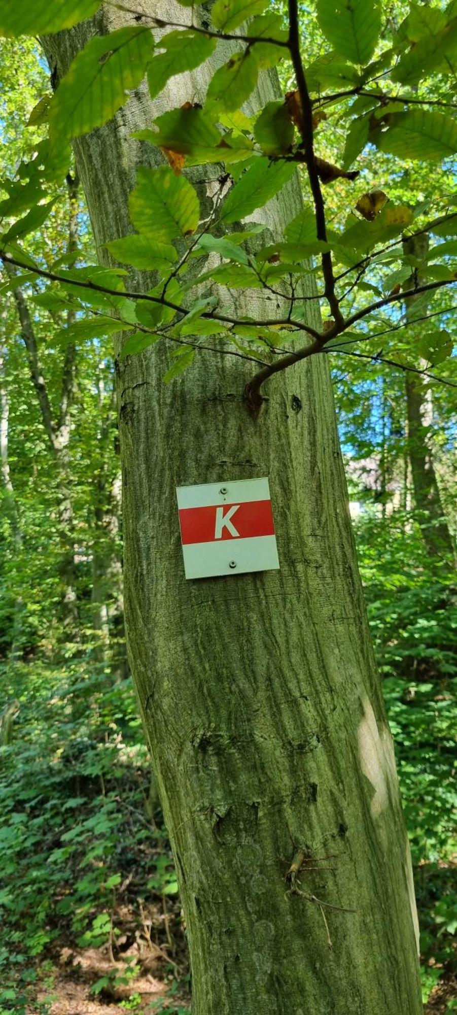 Fewo Zur Alten Tischlerei Herzberg am Harz Eksteriør bilde