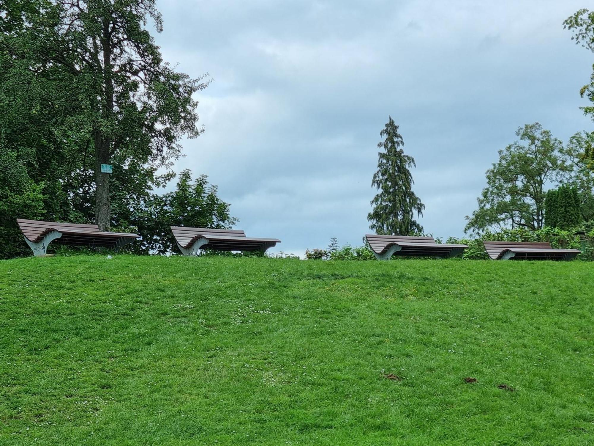 Fewo Zur Alten Tischlerei Herzberg am Harz Eksteriør bilde
